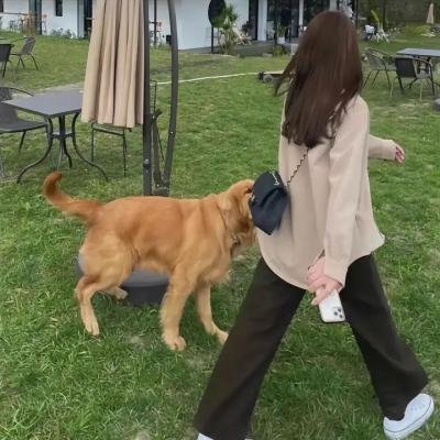 明天过后